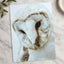 Close Up of Barn Owl Photo Wall Art (7 Sizes) - Ready to Frame