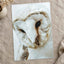 Close Up of Barn Owl Photo Wall Art (7 Sizes) - Ready to Frame