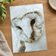 Close Up of Barn Owl Photo Wall Art (7 Sizes) - Ready to Frame