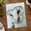 Close Up of Barn Owl Photo Wall Art (7 Sizes) - Ready to Frame