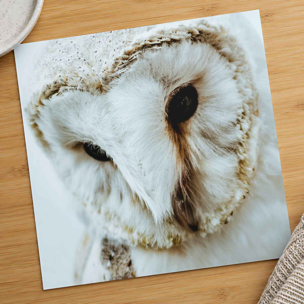Close Up of Barn Owl Photo Wall Art (7 Sizes) - Ready to Frame