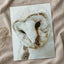 Close Up of Barn Owl Photo Wall Art (7 Sizes) - Ready to Frame