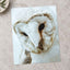 Close Up of Barn Owl by Sandra Seitamaa Photo Print Wall Decor
