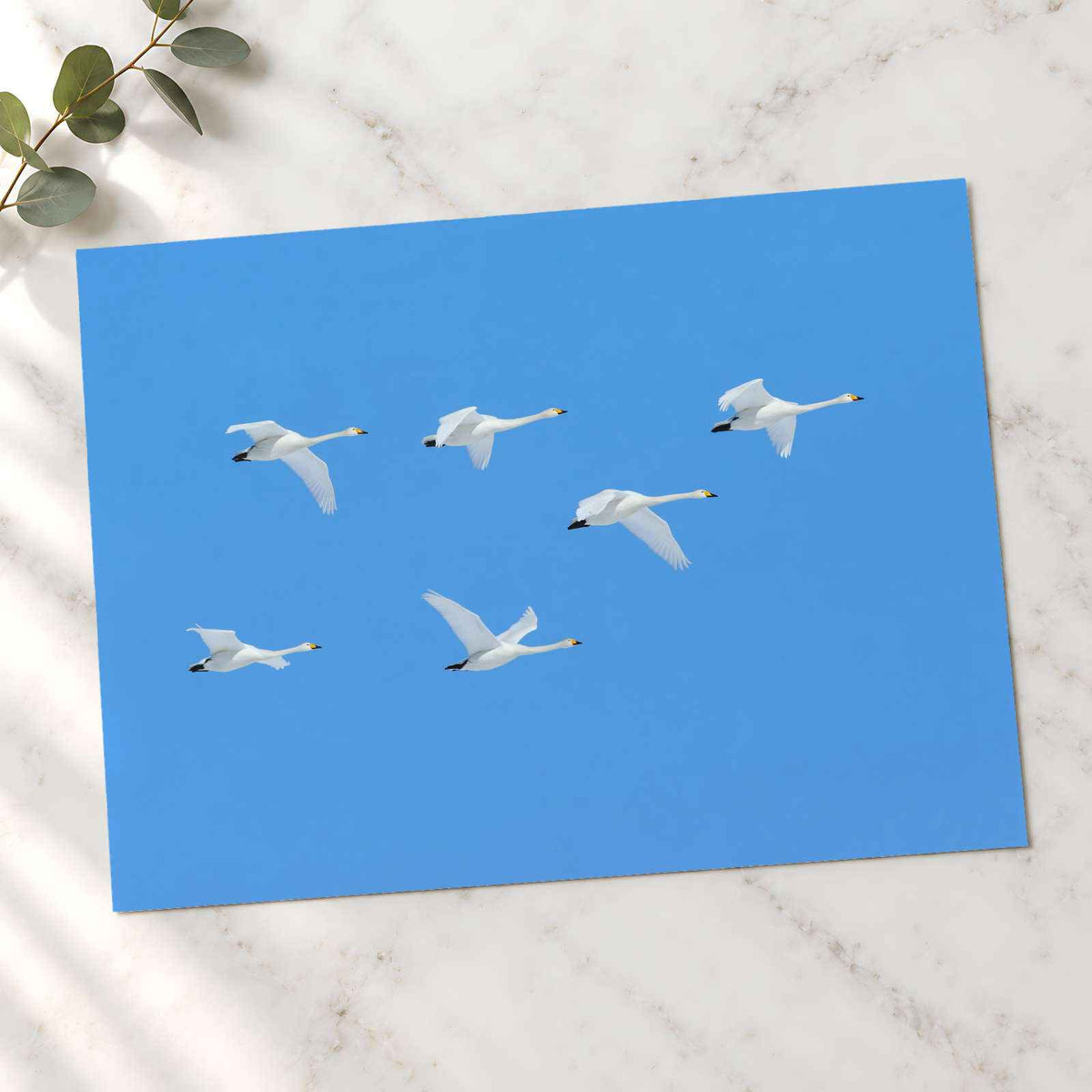 Flock of Geese Flying Through a Blue Sky Photography Print (7 Sizes) - Frameable
