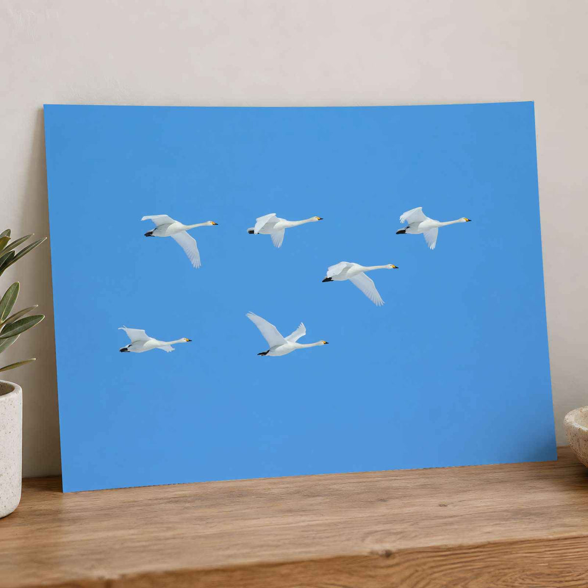 Flock of Geese Flying Through a Blue Sky Photography Print (7 Sizes) - Frameable