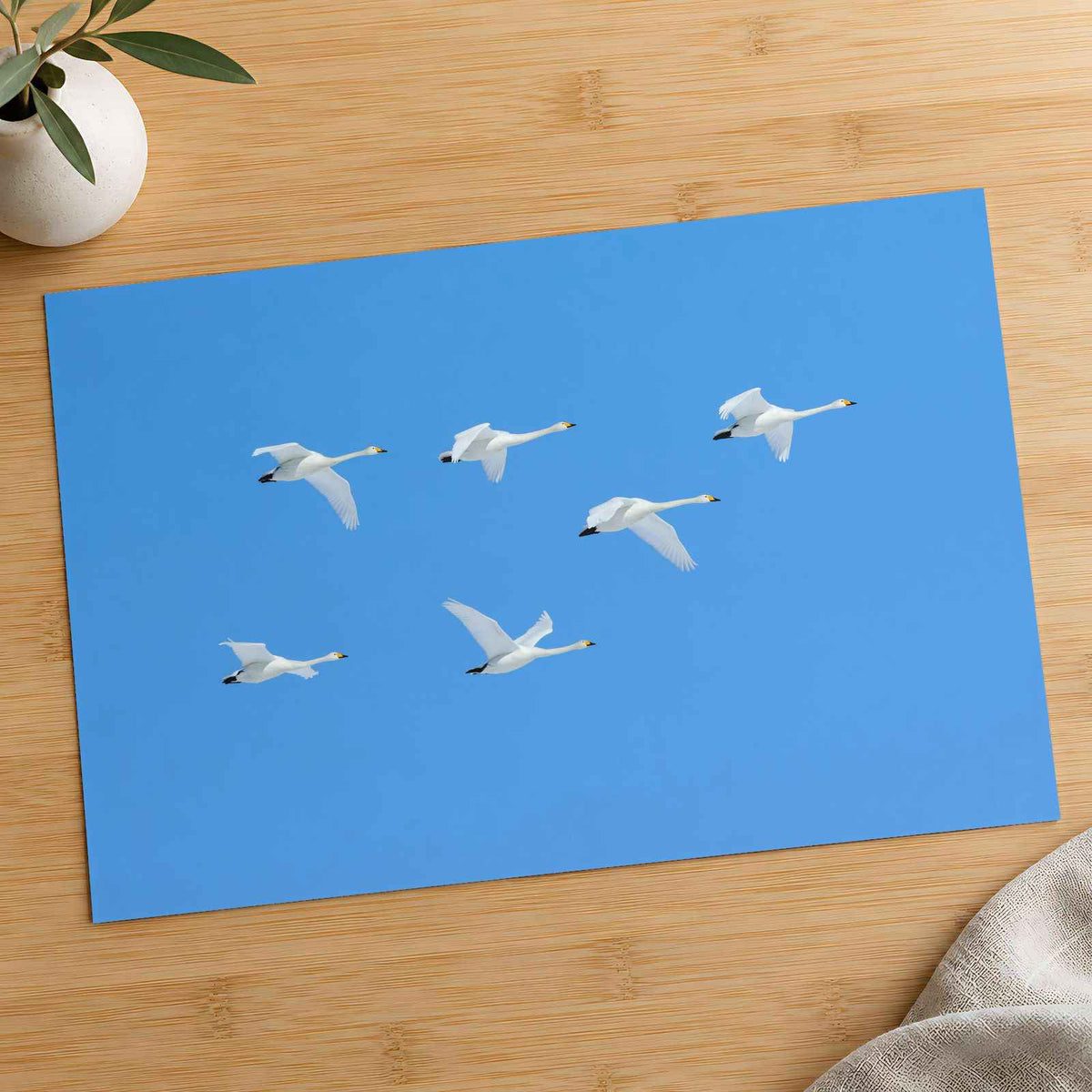 Flock of Geese Flying Through a Blue Sky Photography Print (7 Sizes) - Frameable