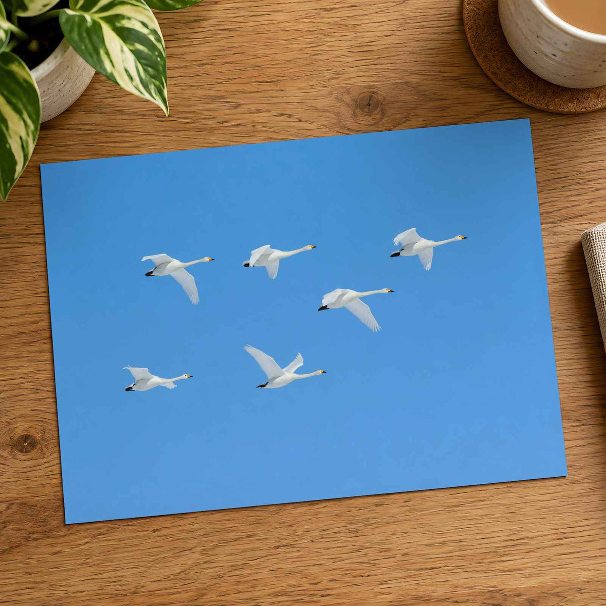 Flock of Geese Flying Through a Blue Sky Photography Print (7 Sizes) - Frameable