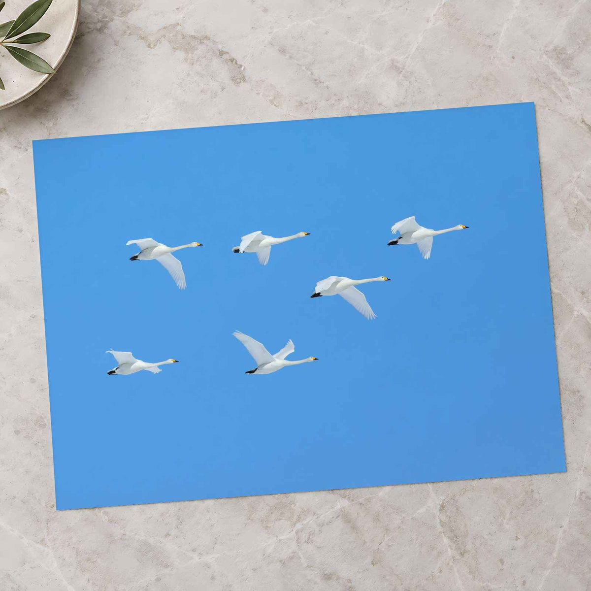 Flock of Geese Flying Through a Blue Sky Photography Print (7 Sizes) - Frameable