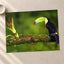 Toucan Sitting on Branch Next to a Plant Boca Tapada Photo Print (7 Sizes)