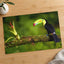 Toucan Sitting on Branch Next to a Plant Boca Tapada Photo Print (7 Sizes)