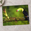 Toucan Sitting on Branch Next to a Plant by Zdeněk Macháček Photo Print Wall Decor