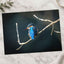 Blue Kingfisher Sitting on Branch of Tree Kendal England Photo Print (7 Sizes)