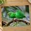 Couple of Green Birds Sitting on Branch Photography Print (7 Sizes) - Frameable