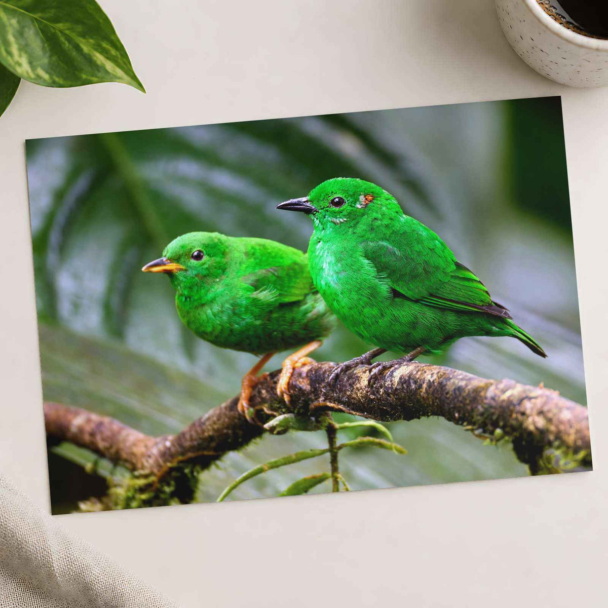 Couple of Green Birds Sitting on Branch Photography Print (7 Sizes) - Frameable