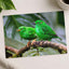 Couple of Green Birds Sitting on Branch Photography Print (7 Sizes) - Frameable