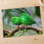 Couple of Green Birds Sitting on Branch Photography Print (7 Sizes) - Frameable