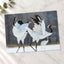 Two Red-Crowned Cranes Dancing Photography Print (7 Sizes) - Satin Luster