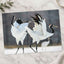 Two Red-Crowned Cranes Dancing Photography Print (7 Sizes) - Satin Luster