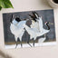 Two Red-Crowned Cranes Dancing Photography Print (7 Sizes) - Satin Luster
