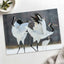 Two Red-Crowned Cranes Dancing Photography Print (7 Sizes) - Satin Luster