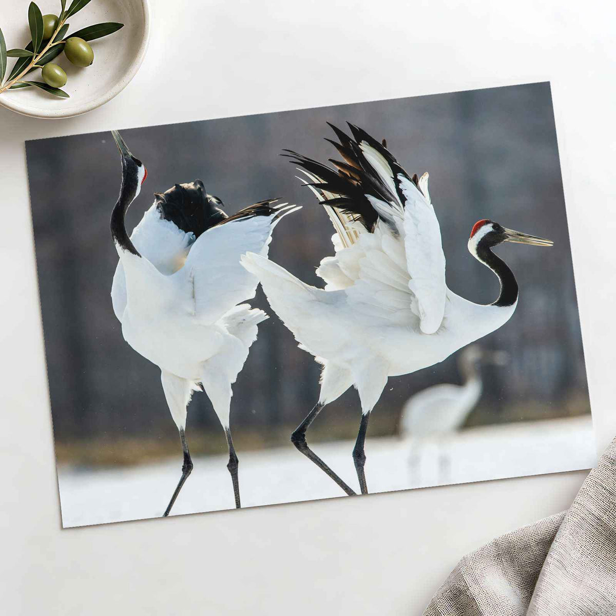 Two Red-Crowned Cranes Dancing Photography Print (7 Sizes) - Satin Luster