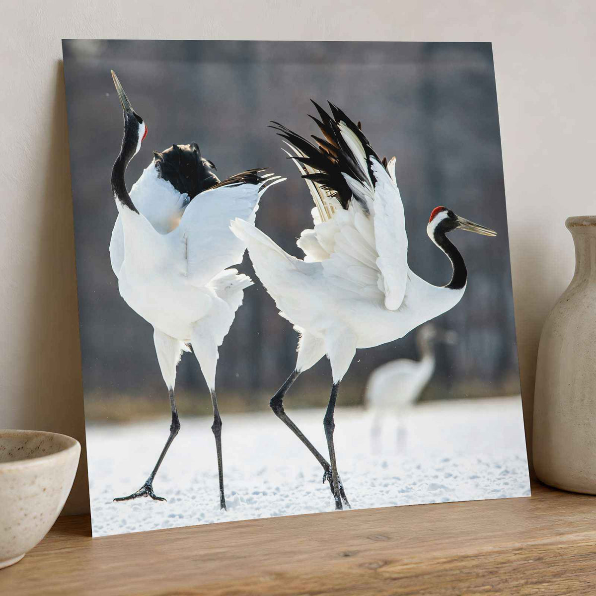 Two Red-Crowned Cranes Dancing Photography Print (7 Sizes) - Satin Luster