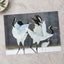 Two Red-Crowned Cranes Dancing Photography Print (7 Sizes) - Satin Luster