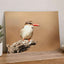 Kingfisher Perched on Weathered Branch Photography Print (7 Sizes)