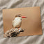 Kingfisher Perched on Weathered Branch Photography Print (7 Sizes)
