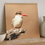 Kingfisher Perched on Weathered Branch Photography Print (7 Sizes)