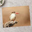 Kingfisher Perched on Weathered Branch Photography Print (7 Sizes)