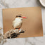 Kingfisher Perched on Weathered Branch by Pierre Lemos Photo Print Wall Decor