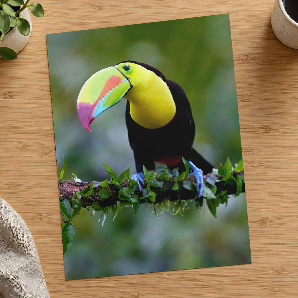 Colorful Toucan Perched on Branch Photography Print (7 Sizes) - Satin Luster