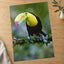 Colorful Toucan Perched on Branch Photography Print (7 Sizes) - Satin Luster