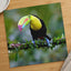 Colorful Toucan Perched on Branch Photography Print (7 Sizes) - Satin Luster