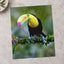 Colorful Toucan Perched on Branch by Zdeněk Macháček Photo Print Wall Decor