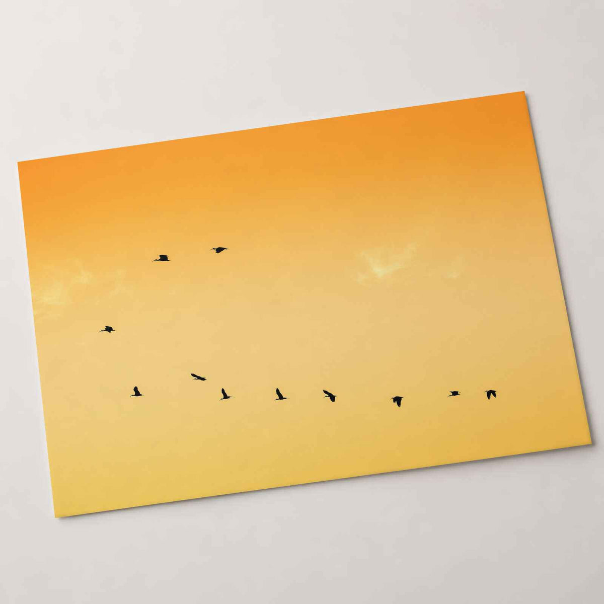 Flock of Birds Flying Across a Sunset Sky Photo Wall Print (7 Sizes) - Frameable