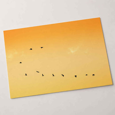 Flock of Birds Flying Across a Sunset Sky Photo Wall Print (7 Sizes) - Frameable