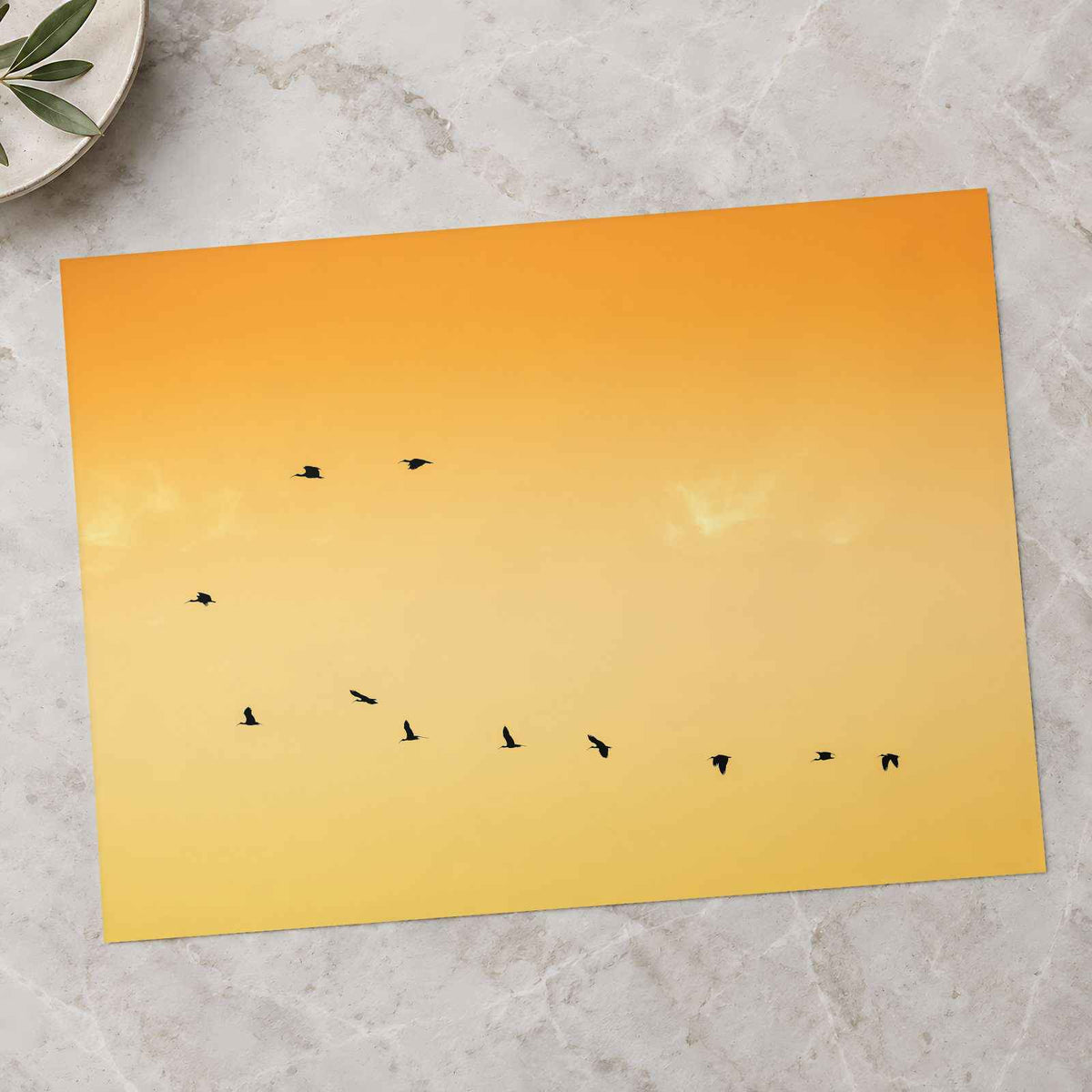 Flock of Birds Flying Across a Sunset Sky Photo Wall Print (7 Sizes) - Frameable