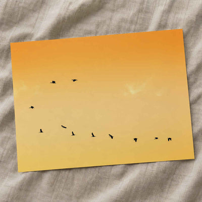 Flock of Birds Flying Across a Sunset Sky by Abhijit Sinha Photo Print Wall Decor