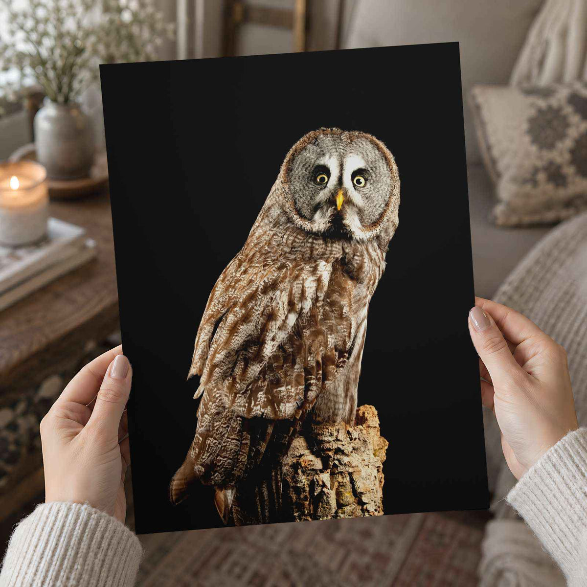 Studio Portrait of Great Grey Owl Photo Wall Art (7 Sizes) - Shipped Flat