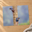 Parrots Peeking Out of Tree Photography Print (7 Sizes) - Frameable