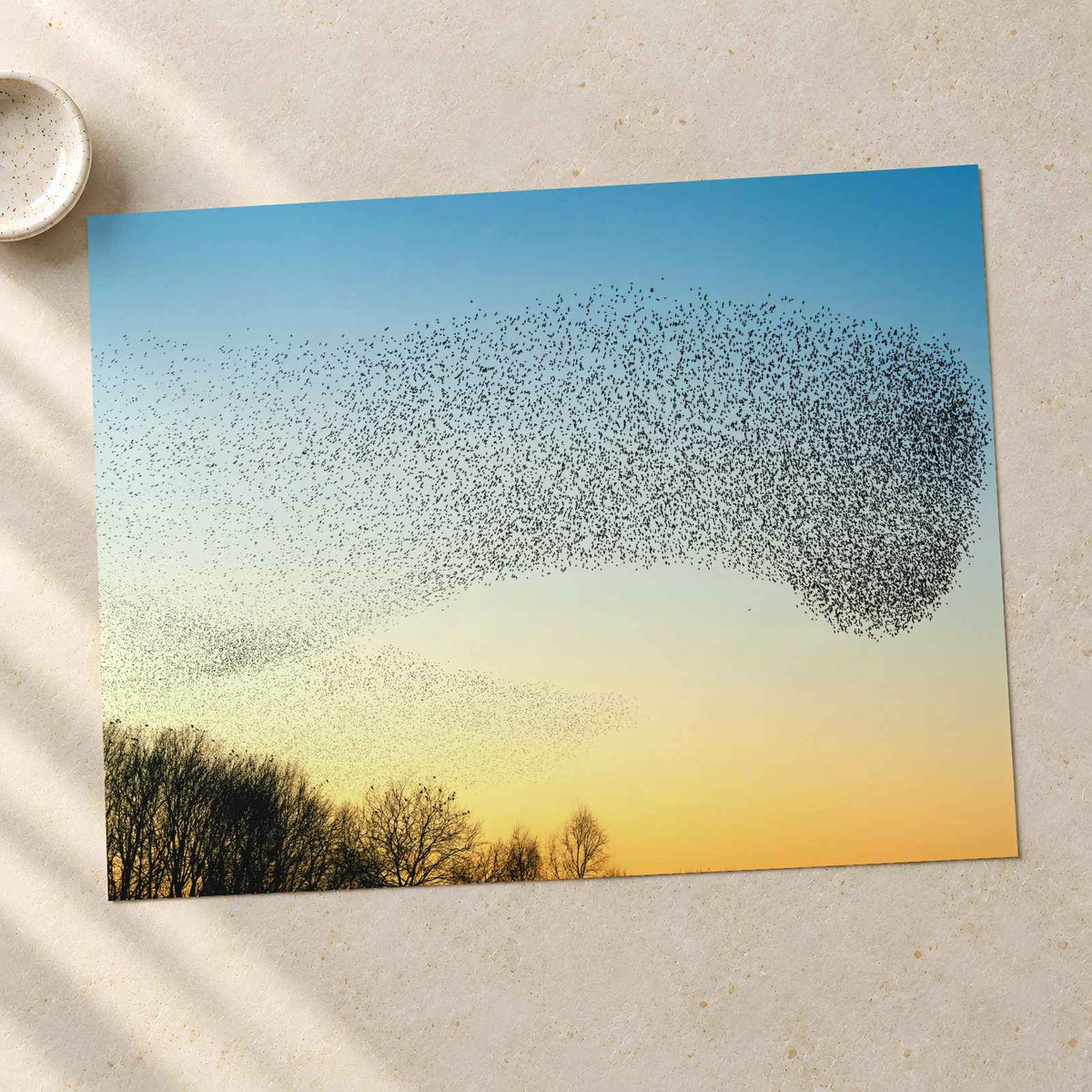 Flock of Starlings Above Trees Photo Wall Print (7 Sizes) - Shipped Flat