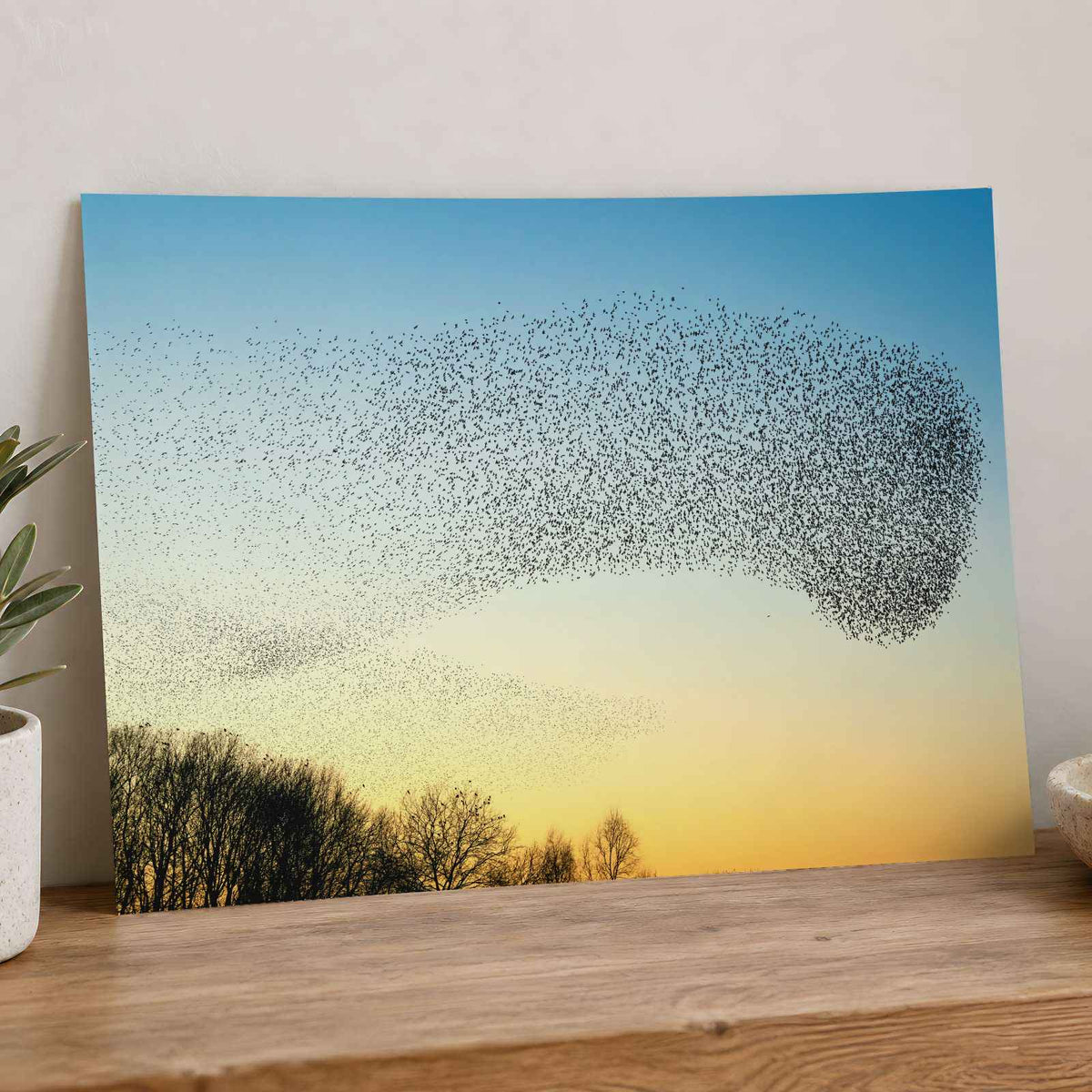 Flock of Starlings Above Trees Photo Wall Print (7 Sizes) - Shipped Flat