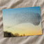 Flock of Starlings Above Trees Photo Wall Print (7 Sizes) - Shipped Flat