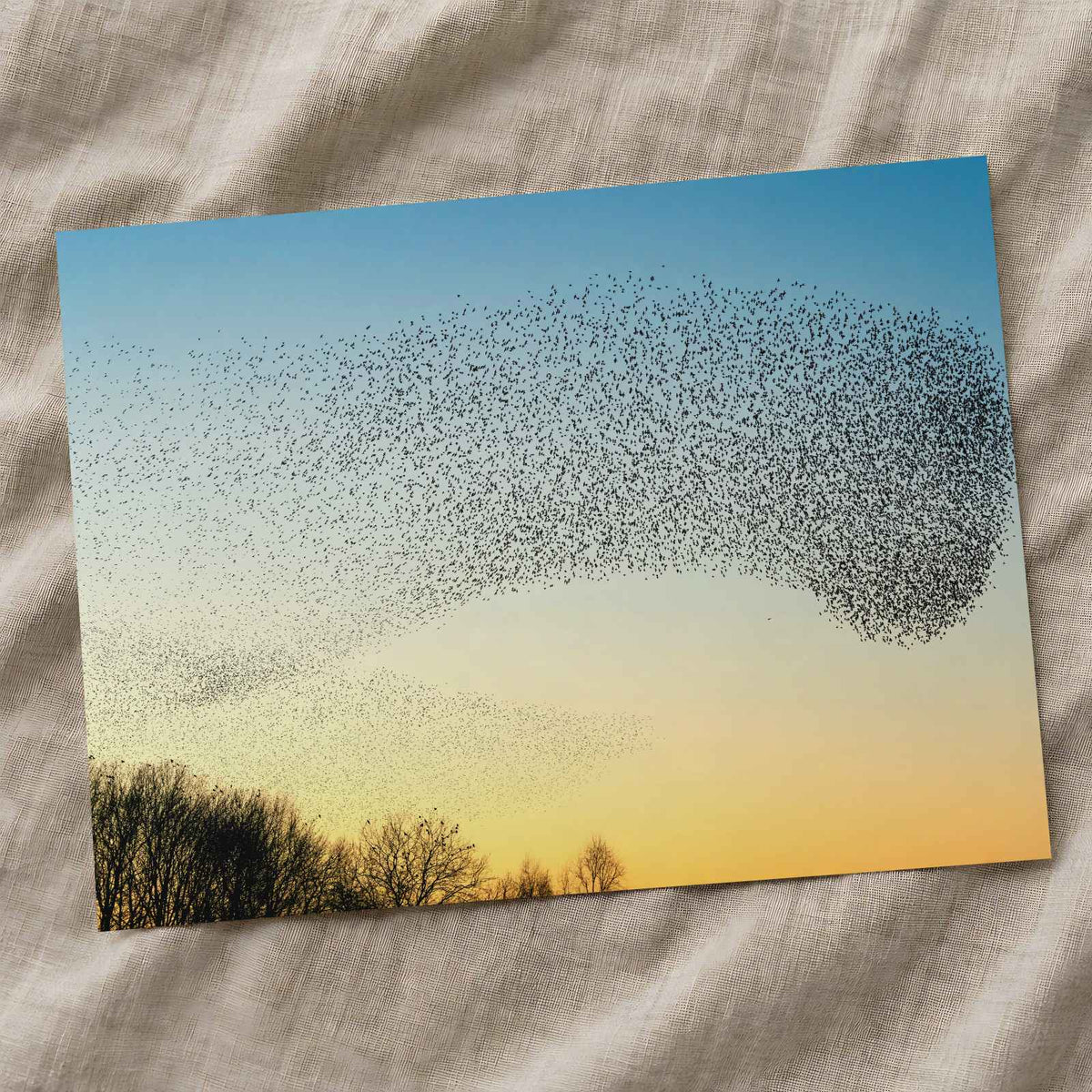 Flock of Starlings Above Trees Photo Wall Print (7 Sizes) - Shipped Flat