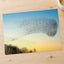 Flock of Starlings Above Trees Photo Wall Print (7 Sizes) - Shipped Flat
