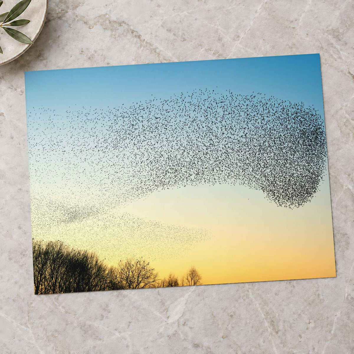 Flock of Starlings Above Trees Photo Print Wall Decor