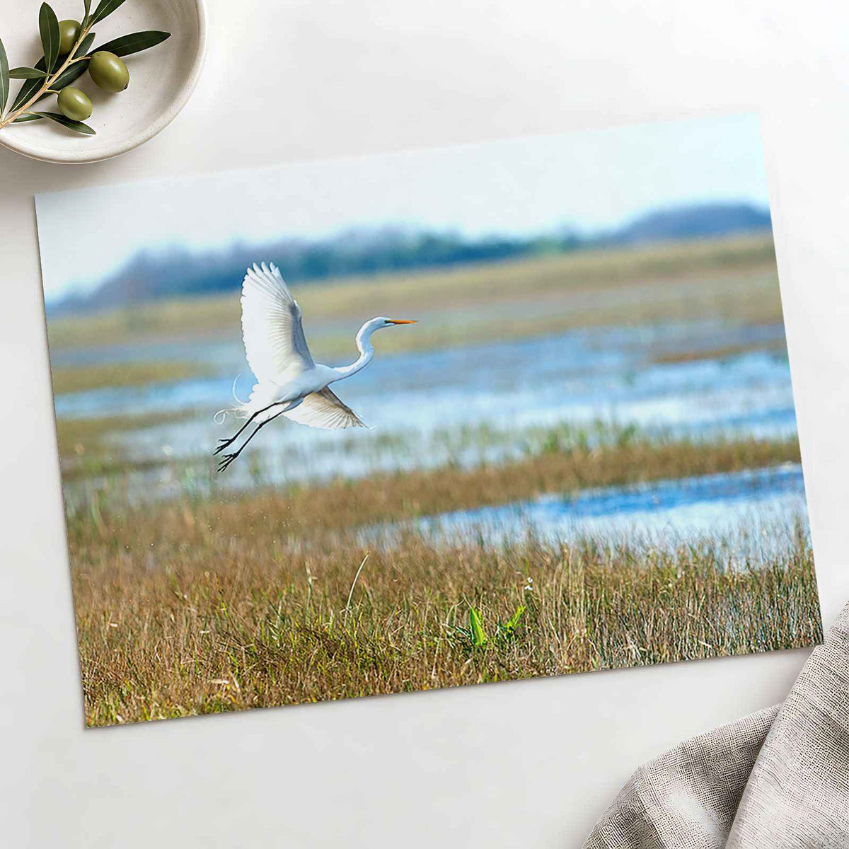 Egret Flying Over Marsh in Everglades Photo Print Wall Decor