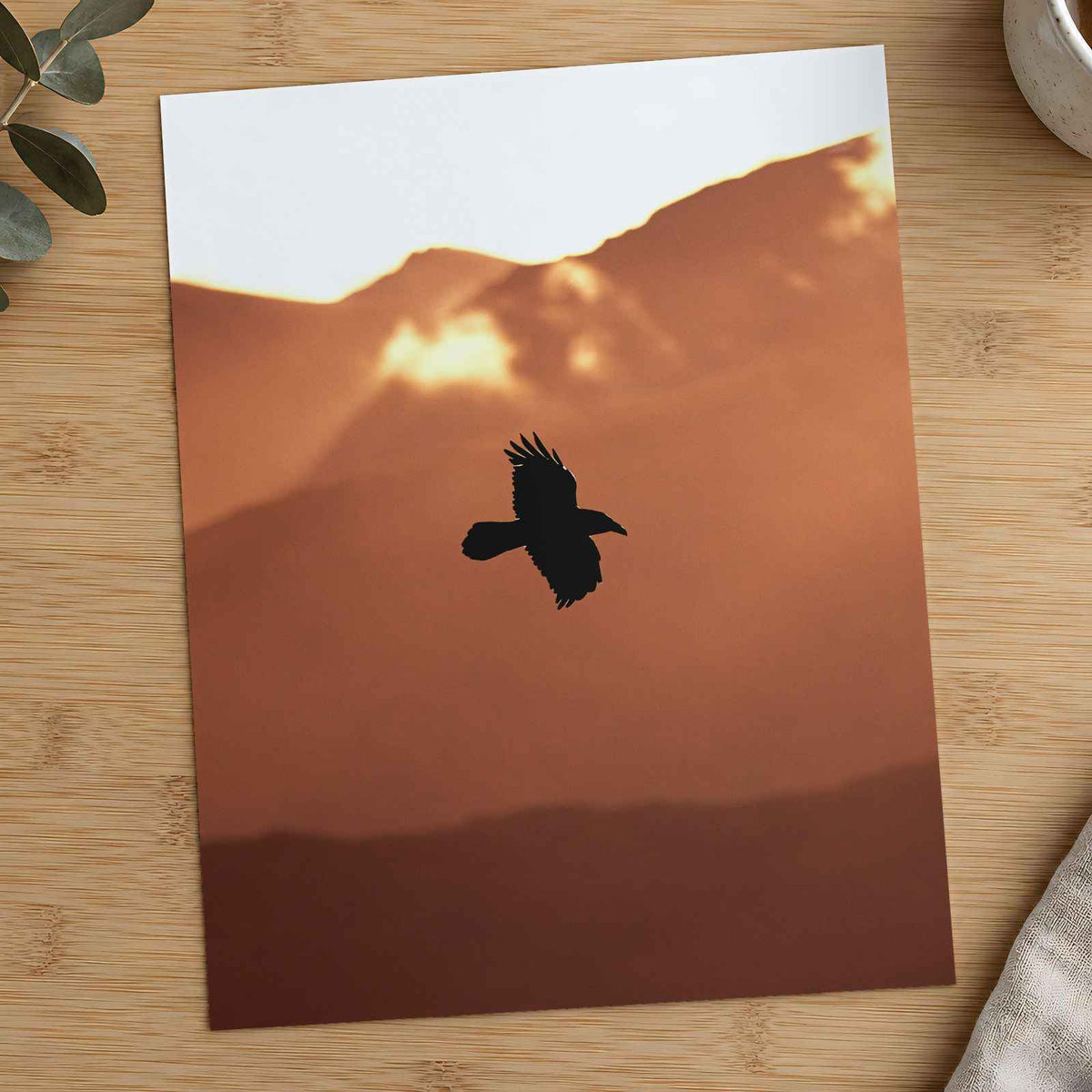 Raven Flying with Mountains in Background Photo Print (6 Sizes) - Crisp Detail